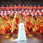 跆拳道夜战：川蜀灰熊队强势横扫南城貔貅队，速度优势明显回归即成焦点
